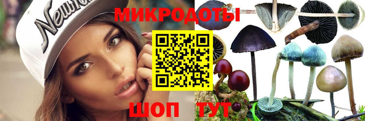 Альметьевск  Псилоцибиновые грибы мухоморы  Вход с VPN 
